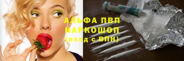 прущие грибы Михайловск
