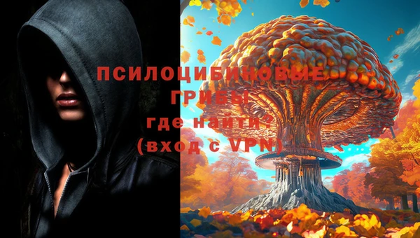 шишки Аша