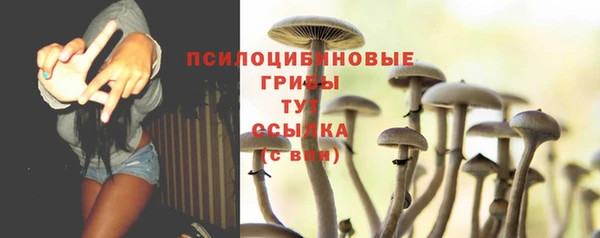 каннабис Михайловка