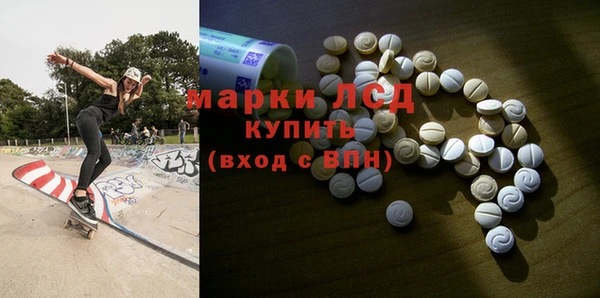 прущие грибы Михайловск