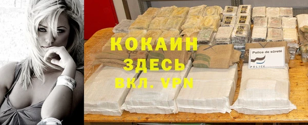прущие грибы Михайловск