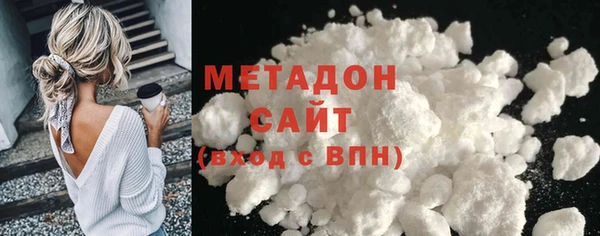 прущие грибы Михайловск